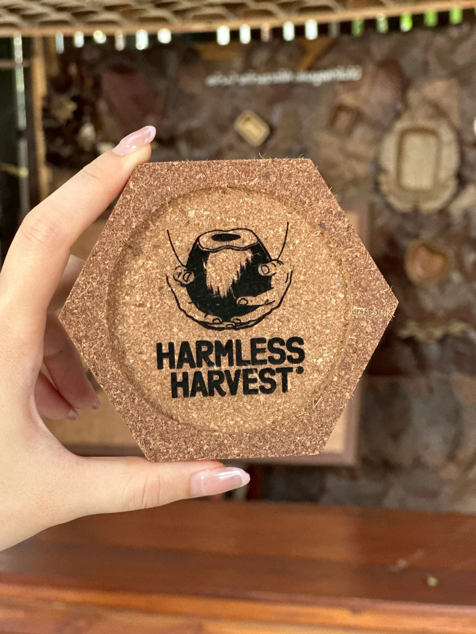 Leaf Coaster