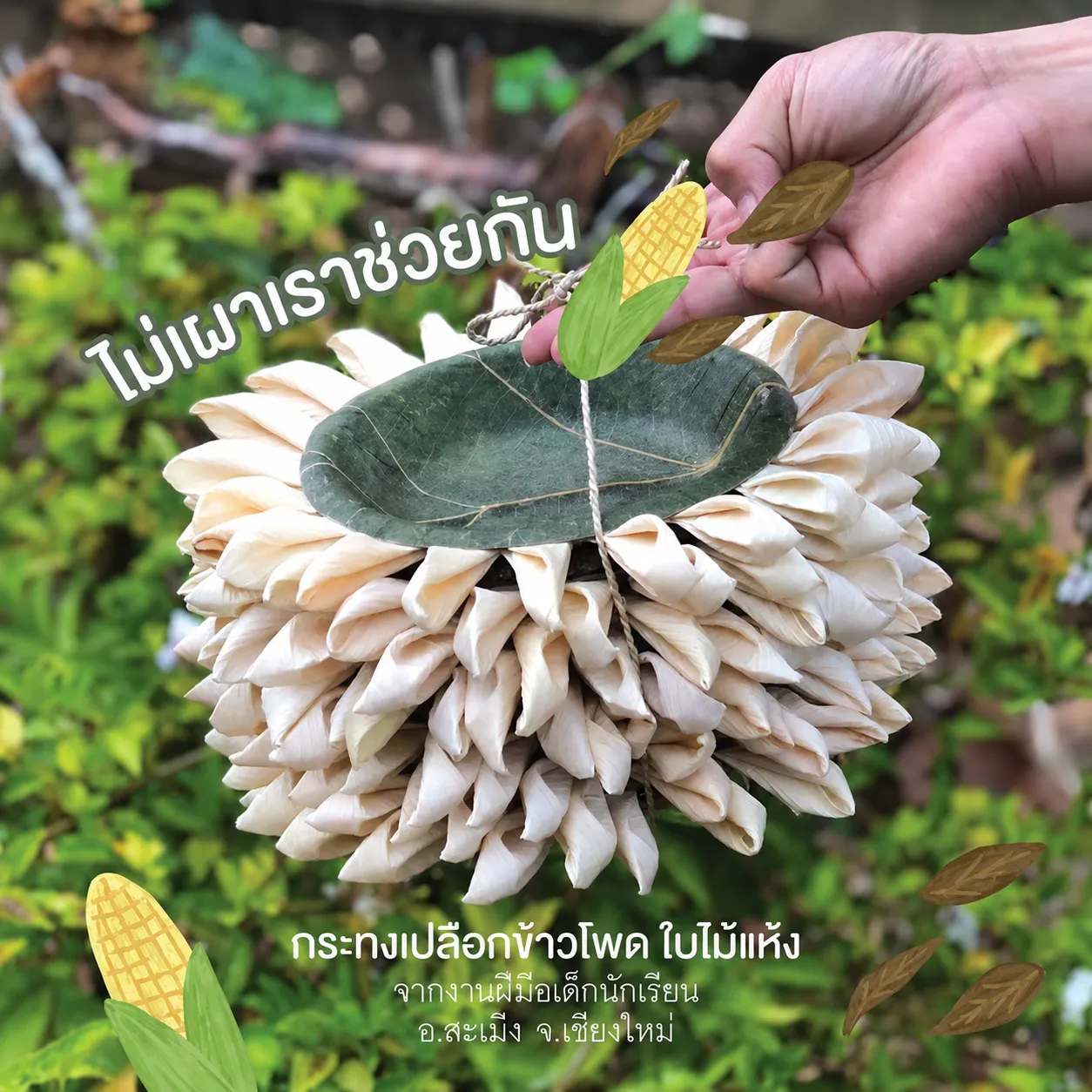 กระทง (ตามฤดูกาล)