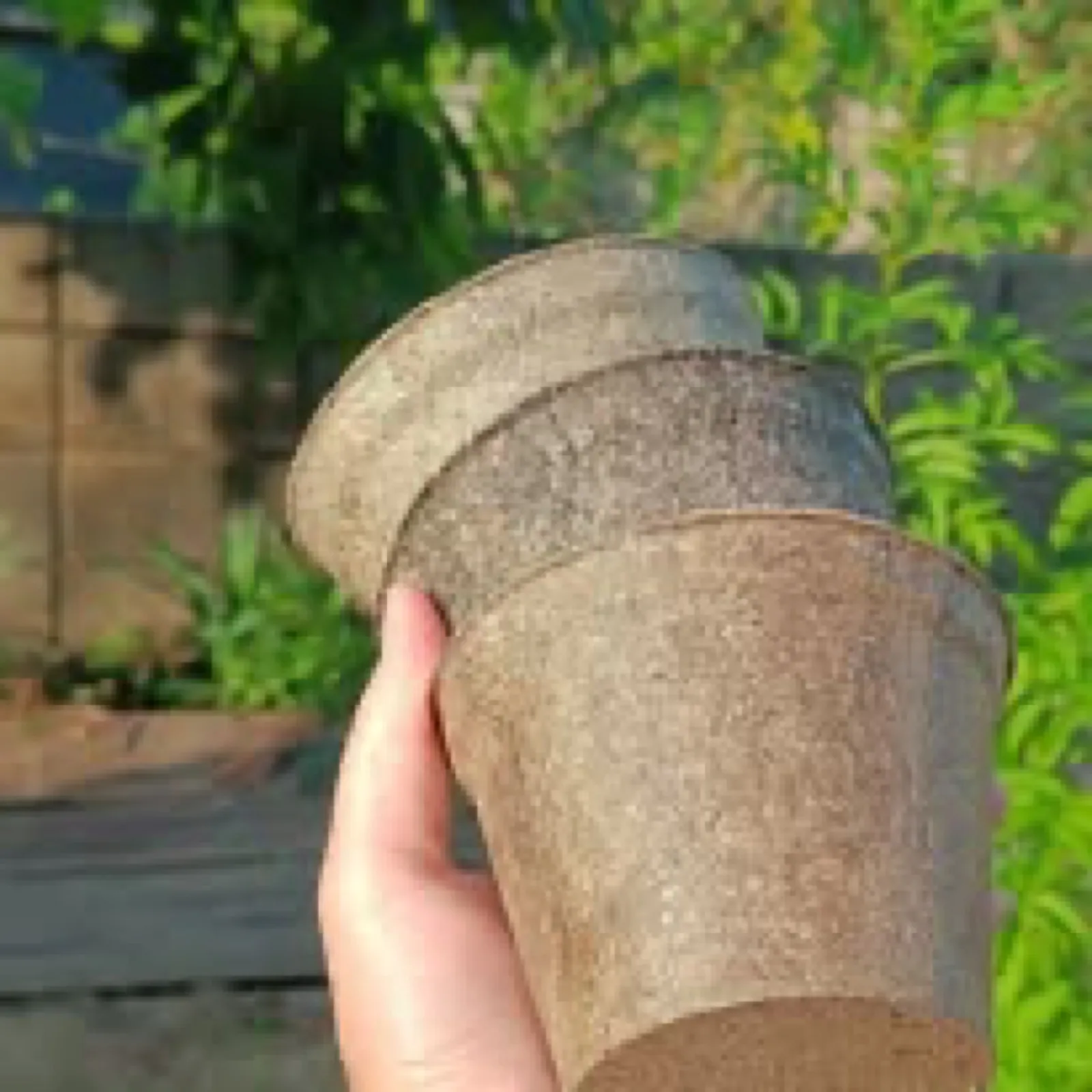 Leaf Pot